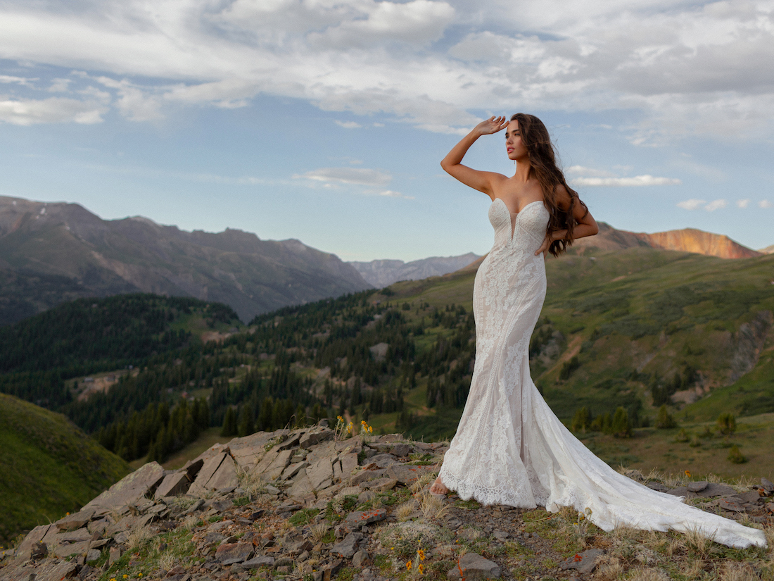 Setting Your Wedding Budget Image