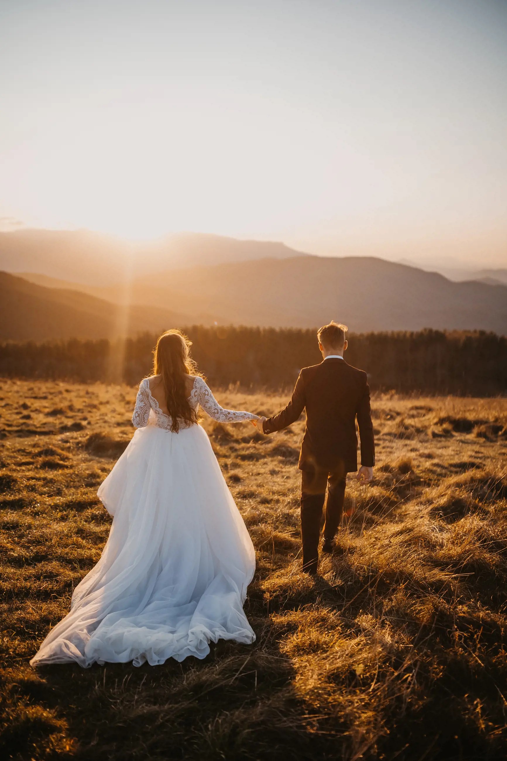 Wedding Dress Shopping Journey Image