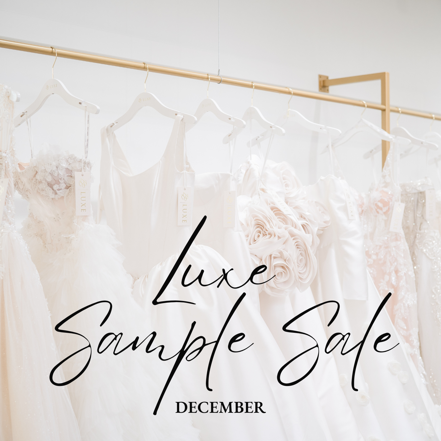 2025 ANNUAL LUXE SAMPLE SALE Main Image
