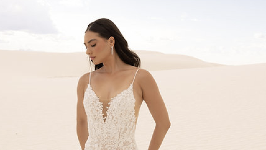 Lace Magic: Capturing the Allure of Textured Lace Embellishments Image