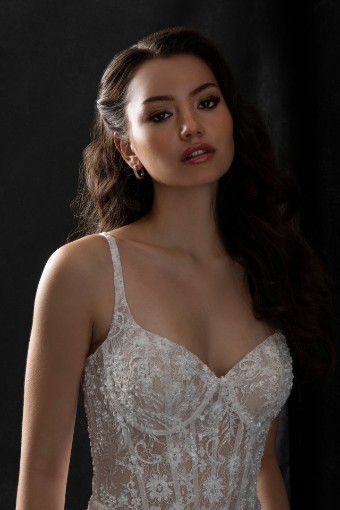 Allure Bridal Style #C765 #1 Almond/Ivory/Champ/Nude thumbnail