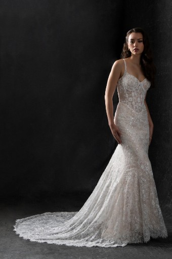 Allure Bridal Style #C765 #3 default Almond/Ivory/Champ/Nude thumbnail