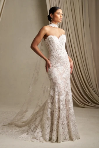 Allure Bridal Style #C808 #0 default Ivory/Champagne/Nude thumbnail
