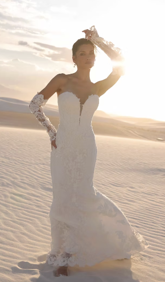 Jimme Huang Style #Aylani BG-125071 (Gown Only) #2 default Ivory/Ivory thumbnail