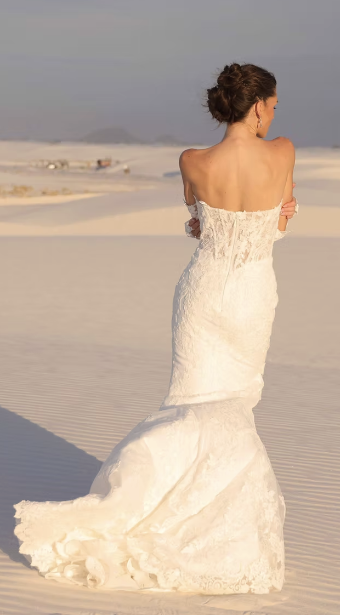 Jimme Huang Style #Aylani BG-125071 (Gown Only) #1 Ivory/Ivory thumbnail