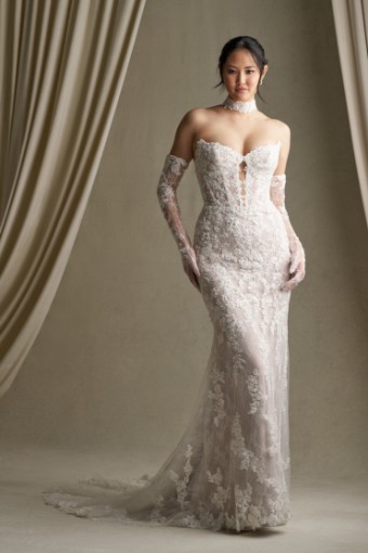 Allure Bridal Style #C801 #0 default Ivory/Nude thumbnail