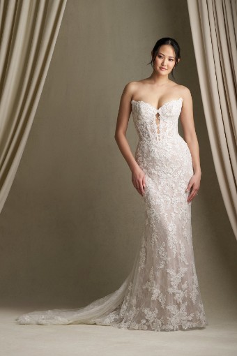 Allure Bridal Style #C801 #3 Ivory/Nude thumbnail