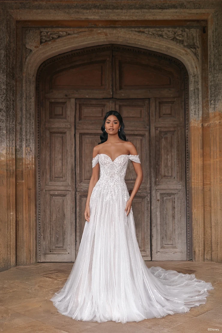 sachin and babi light blue dress Disney Fairy Tale Weddings