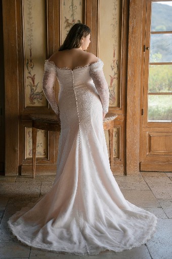 Allure Bridal Style #W556 #3 Champagne/Ivory thumbnail