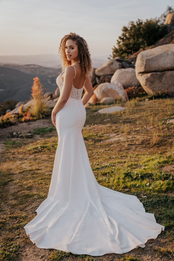 Allure Bridal Style #A1169 #2 Ivory/Gold/Ivory/Champagne/Nude thumbnail