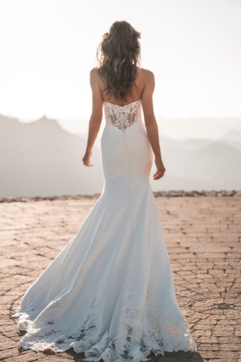 Allure Bridal Style #A1214L #1 Ivory/Nude thumbnail