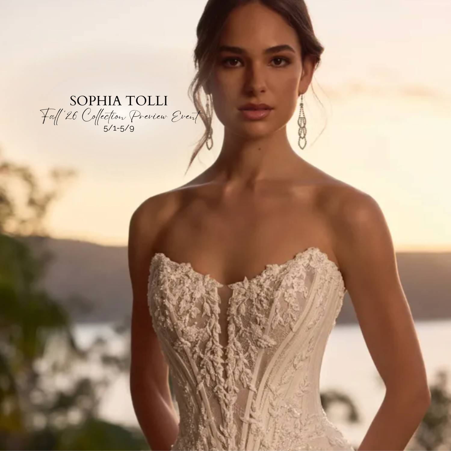 sophia tolli 2