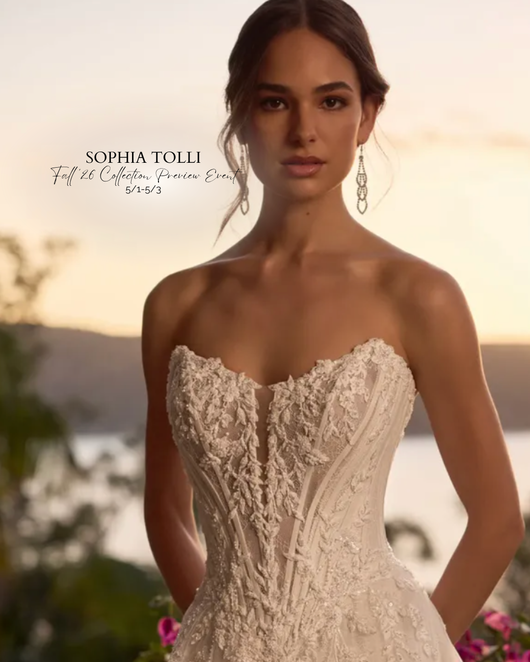 sophia tolli 2